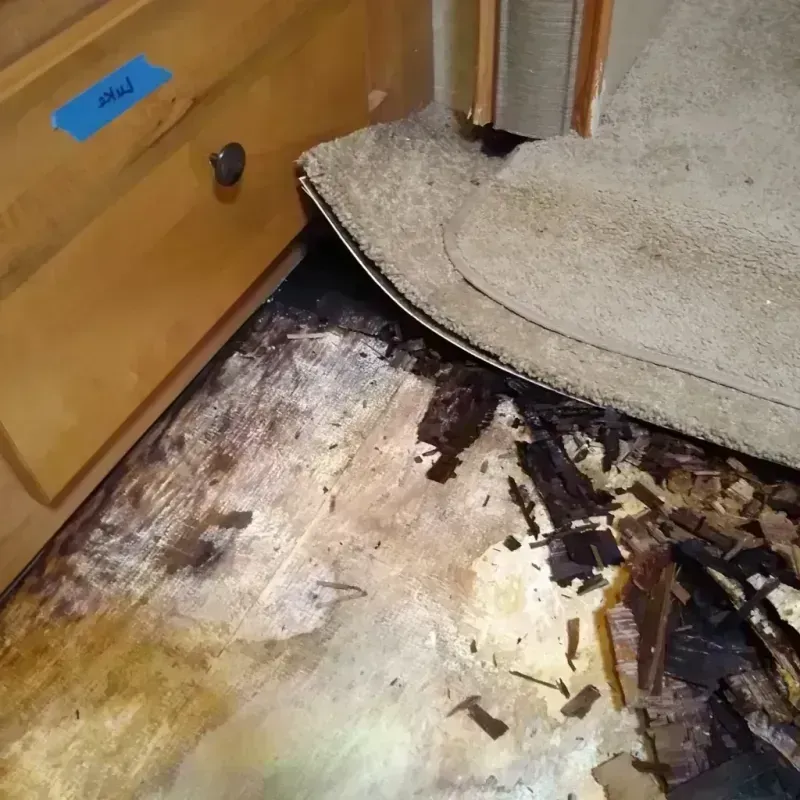 Wood Floor Water Damage in Urbancrest, OH